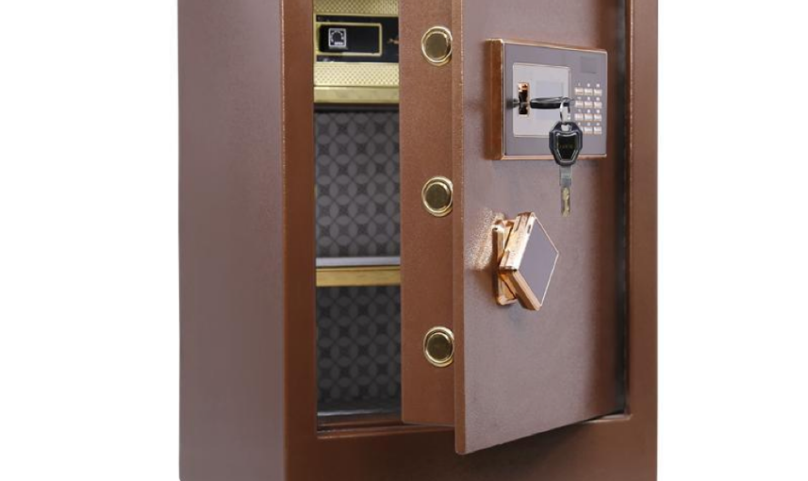 Examining the Gardex Safe: A Thorough Analysis of Style and Security